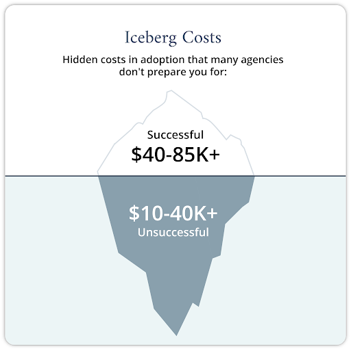 Adoption Disruption Insurance: Protecting Your Finances