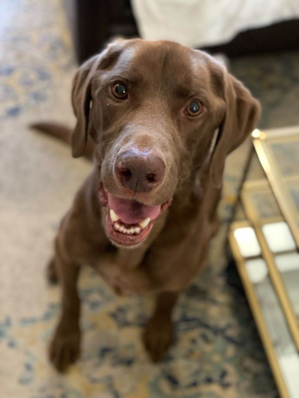 George