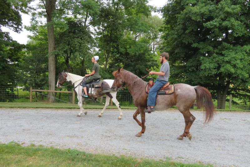 We Enjoy Horseback Riding