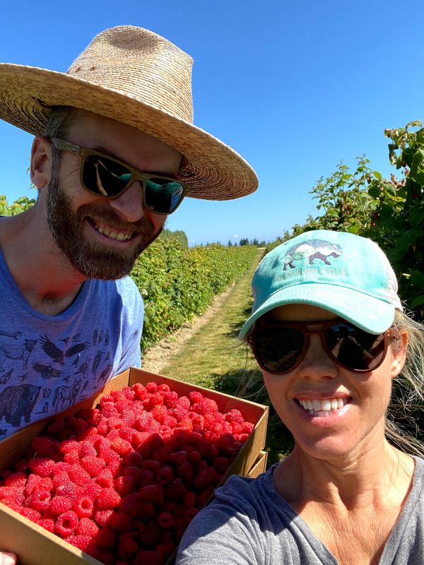 Picking Raspberries