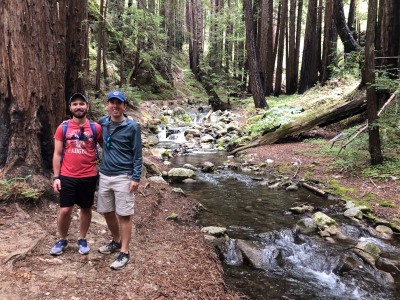 Hiking in the Redwoods