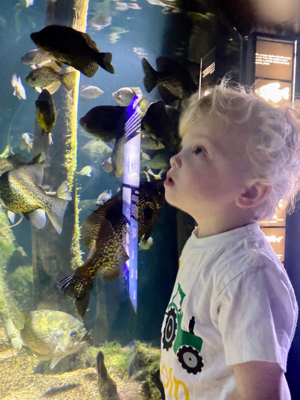 Amazed at the Chattanooga Aquarium