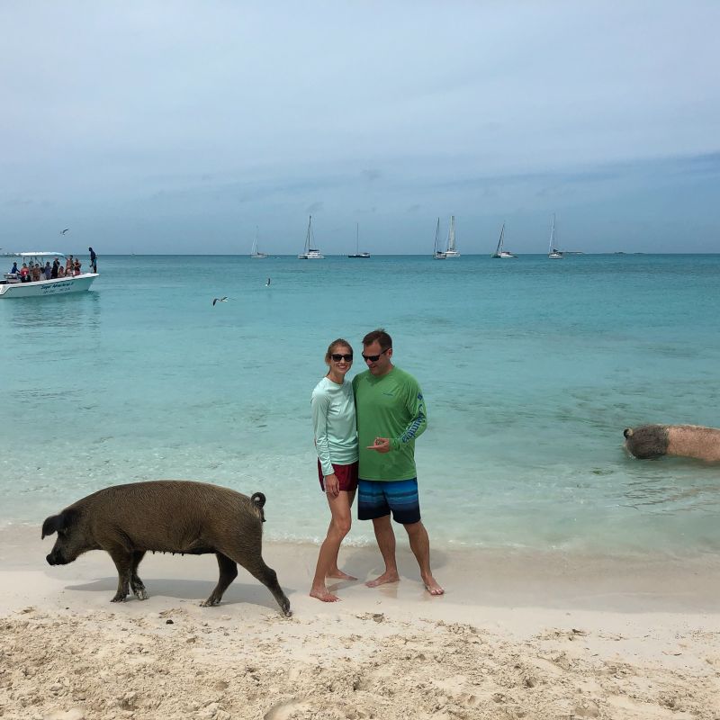 Meeting the Pigs in the Bahamas