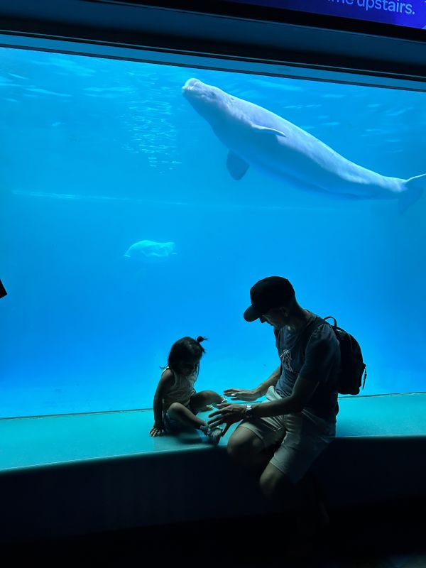 Jade & Ryan Looking at Whales