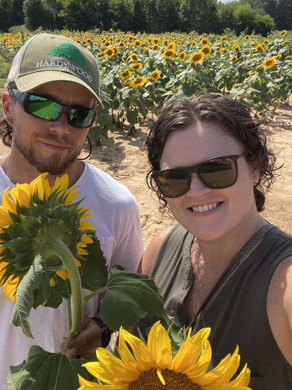 Sunflower Picking