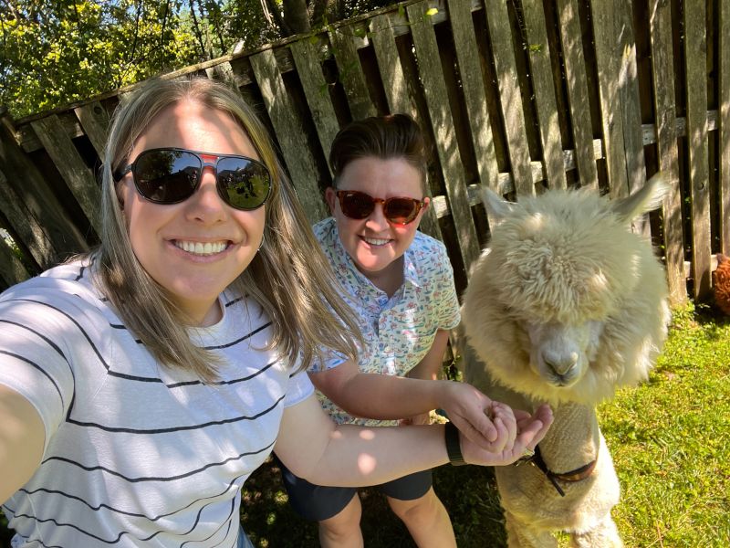 Fun at a Petting Zoo for a Friend's Daughter's Birthday