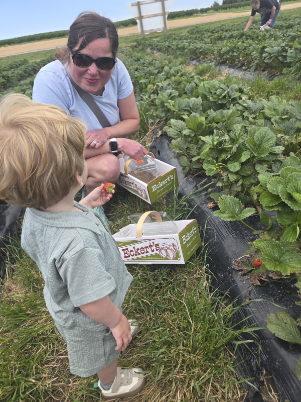 We Enjoyed Strawberry Picking