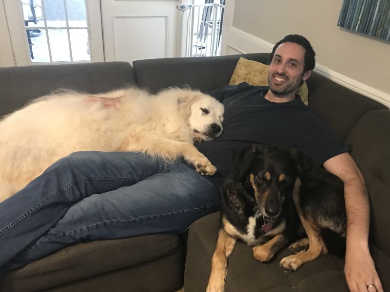 Daily Dog Snuggles