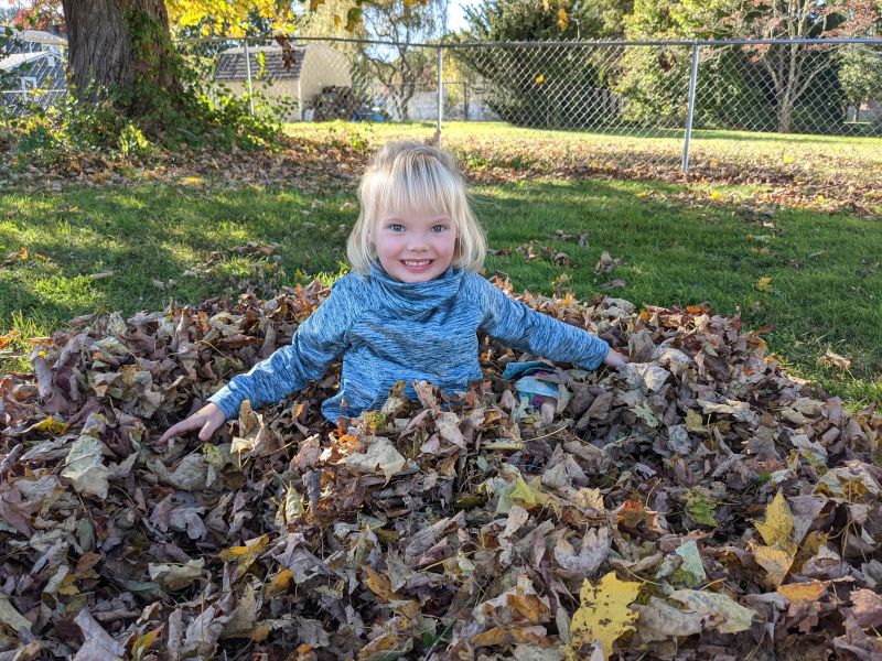 Fall Time Means Playing in Leaf Piles!
